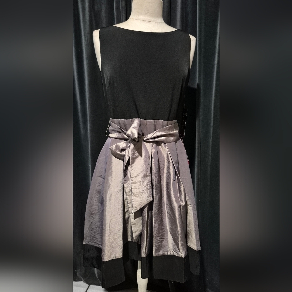 SL Fashions Black and Silver Dress